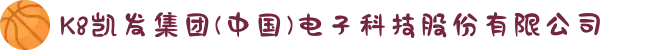 K8凯发集团(中国)电子科技股份有限公司